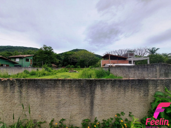 Imagem Terreno à Venda, 833 m² em Rio Tavares - Florianópolis