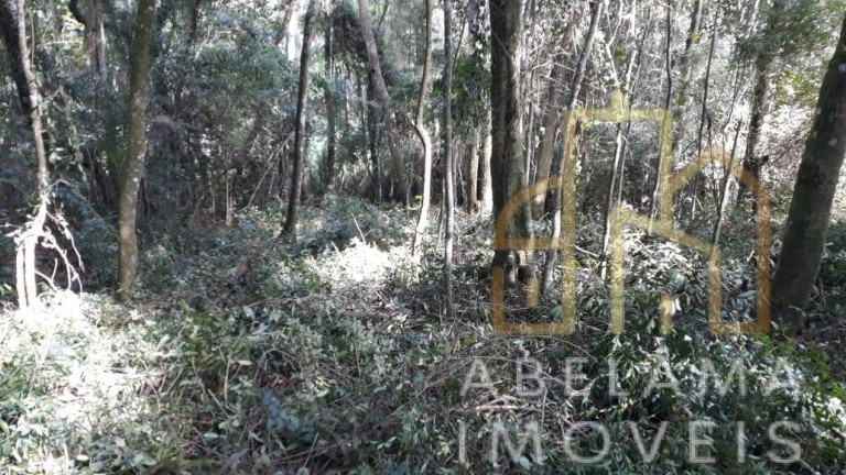 Imagem Terreno à Venda, 5.200 m² em Moreiras - Mairinque Imagem Terreno à Venda, 5.200 m² em Moreiras - Mairinque