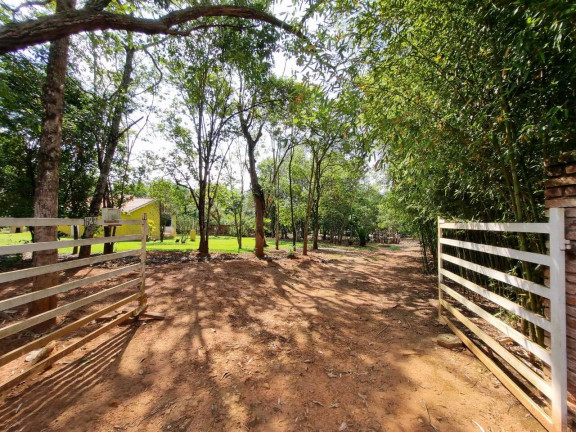 Imagem Chácara com 3 Quartos à Venda, 46 m² em Cercadinho - Alambari