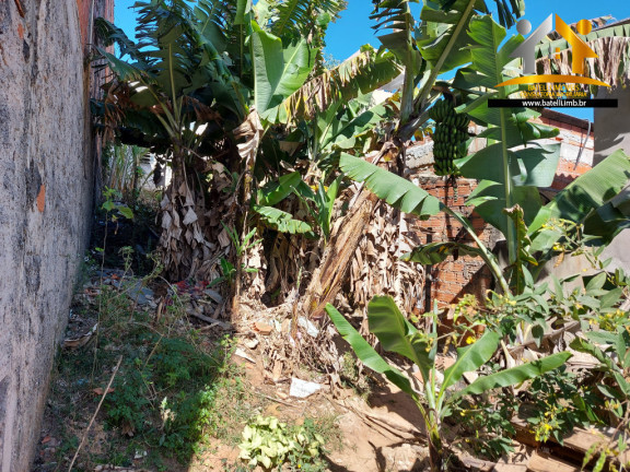 Imagem Terreno à Venda, 125 m² em Jardim Sandra - Cotia Imagem Terreno à Venda, 125 m² em Jardim Sandra - Cotia