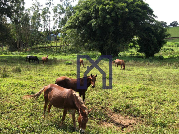 Imagem Fazenda à Venda, 359.300 m² em Zona Rural - Pedralva Imagem Fazenda à Venda, 359.300 m² em Zona Rural - Pedralva