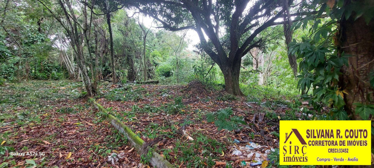 Imagem Terreno à Venda, 6 m² em Itaocaia Valley (itaipuaçu) - Maricá Imagem Terreno à Venda, 6 m² em Itaocaia Valley (itaipuaçu) - Maricá