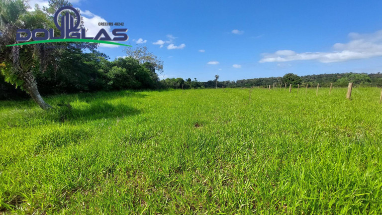 Imagem Chácara à Venda, em águas Claras - Viamão Imagem Chácara à Venda, em águas Claras - Viamão