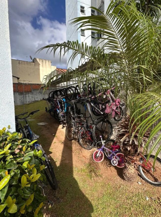 Imagem Apartamento com 2 Quartos à Venda, 54 m² em Parque Jockey Clube - Lauro De Freitas Imagem Apartamento com 2 Quartos à Venda, 54 m² em Parque Jockey Clube - Lauro De Freitas
