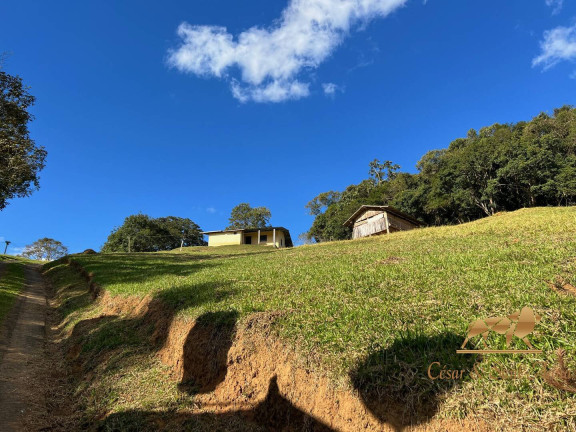 Imagem Chácara com 4 Quartos à Venda, 36.000 m² em Zona Rural - Santo Antônio Do Pinhal Imagem Chácara com 4 Quartos à Venda, 36.000 m² em Zona Rural - Santo Antônio Do Pinhal