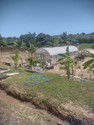 Imagem Chácara com 1 Quarto à Venda, 9.000 m² em Piau - Tibau Do Sul