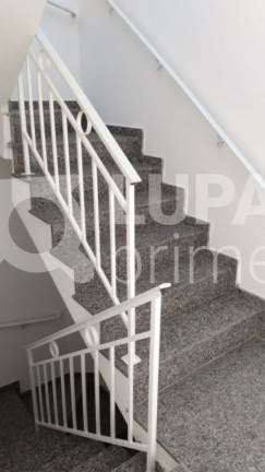 Imagem Casa com 3 Quartos à Venda, 95 m² em Vila Maria Alta - São Paulo