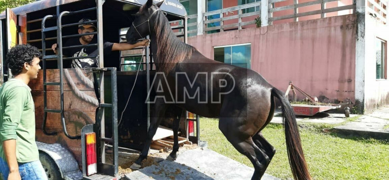 Imagem Imóvel com 4 Quartos à Venda, 180.000 m² em Não Informado - Não Informado Imagem Imóvel com 4 Quartos à Venda, 180.000 m² em Não Informado - Não Informado