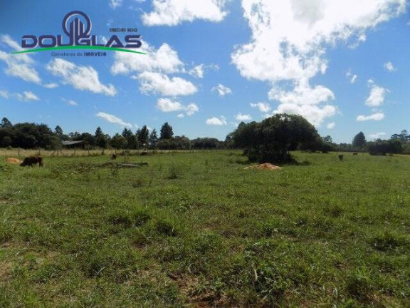 Imagem Terreno à Venda, 1.100 m² em águas Claras - Viamão Imagem Terreno à Venda, 1.100 m² em águas Claras - Viamão