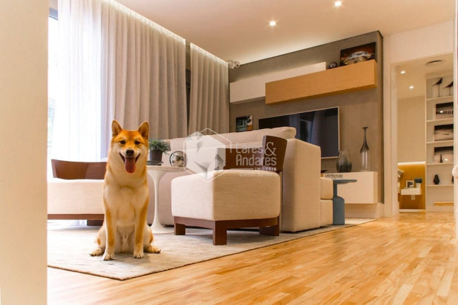 Imagem Apartamento com 2 Quartos à Venda, 50 m² em Vila Mascote - São Paulo Imagem Apartamento com 2 Quartos à Venda, 50 m² em Vila Mascote - São Paulo
