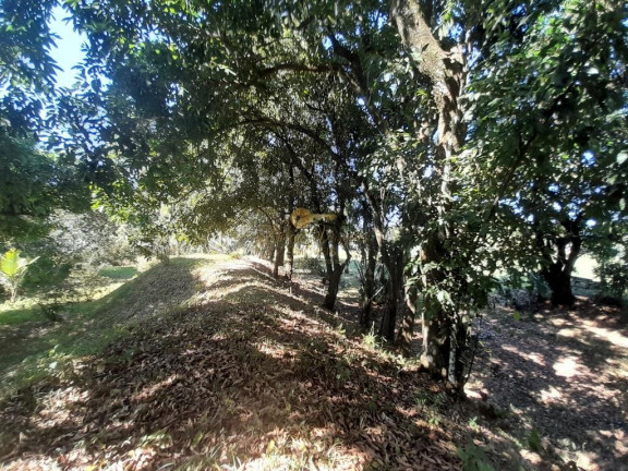 Imagem Terreno à Venda,  em Cotia - Guapimirim