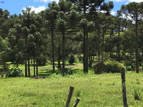 Imagem Imóvel com 4 Quartos à Venda, em Centro - Canela Imagem Imóvel com 4 Quartos à Venda, em Centro - Canela