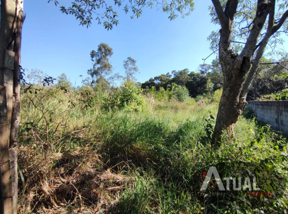 Imagem Casa com 2 Quartos à Venda, 400 m² em Terra Preta (terra Preta) - Mairiporã Imagem Casa com 2 Quartos à Venda, 400 m² em Terra Preta (terra Preta) - Mairiporã