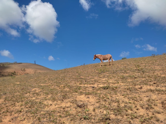 Imagem Terreno à Venda, 384.000 m² em Goêmbe - Anchieta Imagem Terreno à Venda, 384.000 m² em Goêmbe - Anchieta