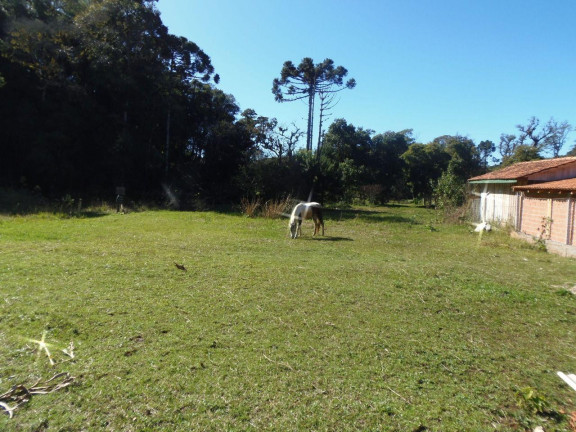 Imagem Terreno à Venda, 515 m² em Bateias - Campo Largo Imagem Terreno à Venda, 515 m² em Bateias - Campo Largo