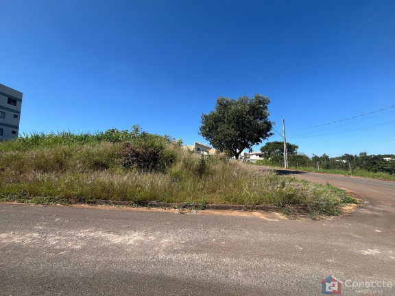 Imagem Terreno à Venda, 375 m² em Campos Elíseos - Patos De Minas
