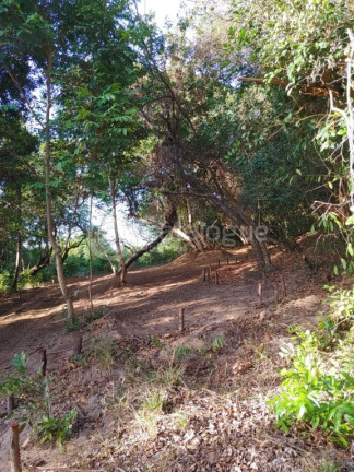 Imagem Terreno à Venda, 551 m² em Cotovelo (distrito Litoral) - Parnamirim Imagem Terreno à Venda, 551 m² em Cotovelo (distrito Litoral) - Parnamirim