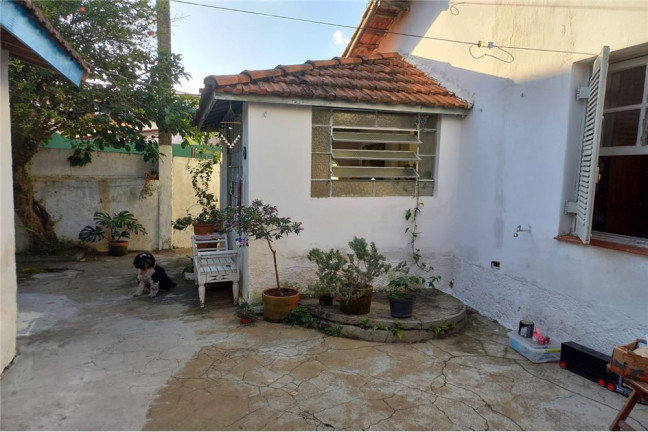 Imagem Casa com 8 Quartos à Venda,  em Vila Sônia - São Paulo