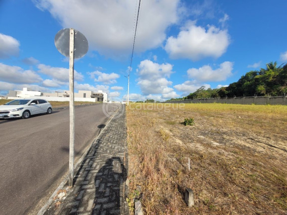 Imagem Terreno em Condomínio à Venda, 534 m² em Emaús - Parnamirim Imagem Terreno em Condomínio à Venda, 534 m² em Emaús - Parnamirim