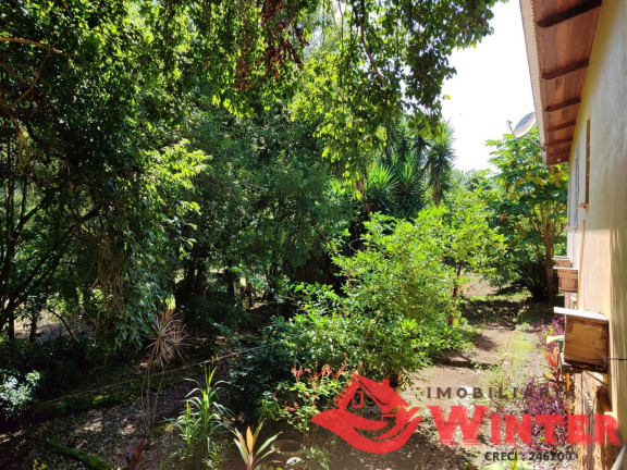 Imagem Chácara com 3 Quartos à Venda, 70.000 m² em Vale Do Lobo - Feliz
