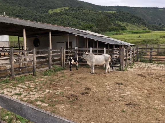 Imagem Fazenda à Venda, 90 m² em Zona Rural - Santa Rita Do Sapucaí
