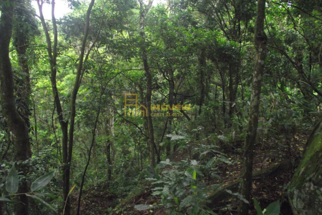 Imagem Terreno à Venda, 2.358 m² em Parque Alvorada - Santana De Parnaíba Imagem Terreno à Venda, 2.358 m² em Parque Alvorada - Santana De Parnaíba