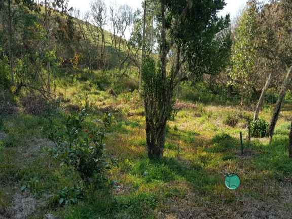 Imagem Imóvel com 2 Quartos à Venda, 50.000 m² em Zona Rural - Alfredo Wagner
