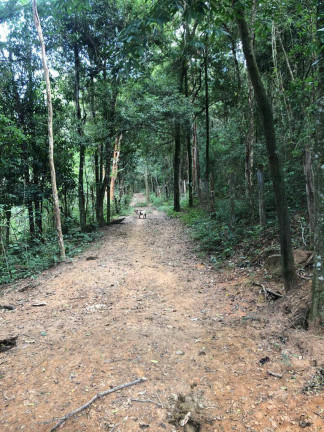 Imagem Fazenda à Venda, 50 m² em Centro - Itatiaiuçu Imagem Fazenda à Venda, 50 m² em Centro - Itatiaiuçu