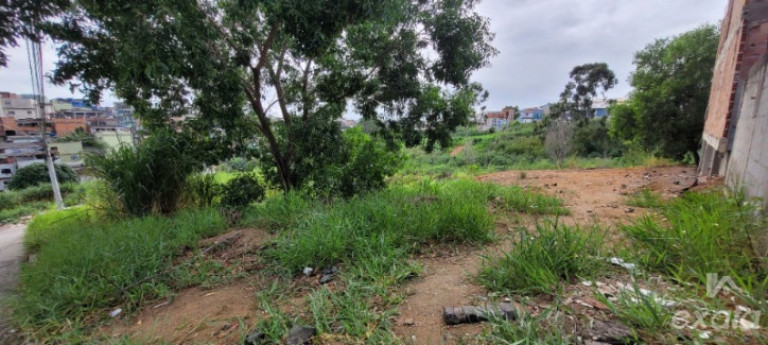 Foto do imóvel Terreno à Venda, 274 m² em Colina De Laranjeiras - Serra