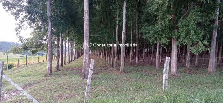 Imagem Terreno à Venda, em Cardeal - Elias Fausto Imagem Terreno à Venda, em Cardeal - Elias Fausto