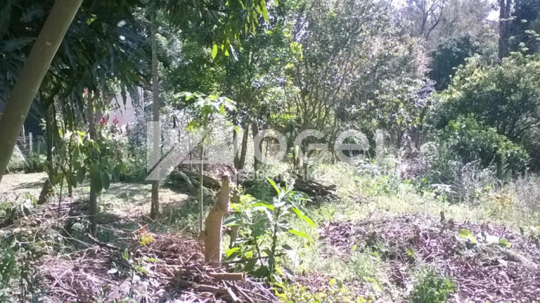 Imagem Imóvel à Venda, 360 m² em Loteamento Parque Recreio - Sao Leopoldo