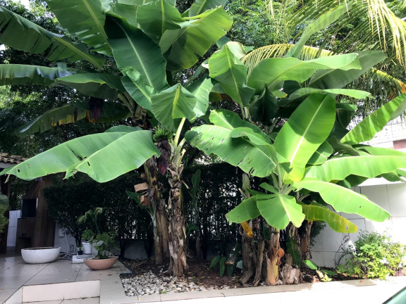 Imagem Casa com 6 Quartos à Venda, em Portão - Lauro De Freitas Imagem Casa com 6 Quartos à Venda, em Portão - Lauro De Freitas