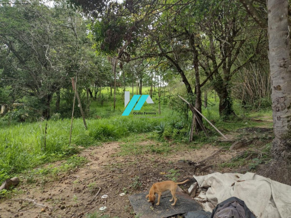 Imagem Terreno à Venda, 12 m² em Distrito Industrial - Betim Imagem Terreno à Venda, 12 m² em Distrito Industrial - Betim