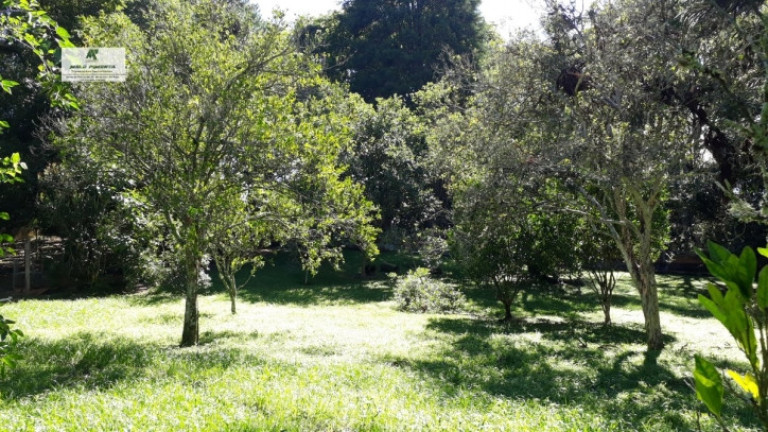 Imagem Chácara com 3 Quartos à Venda, 3.000 m² em Alto Da Serra - São Roque Imagem Chácara com 3 Quartos à Venda, 3.000 m² em Alto Da Serra - São Roque