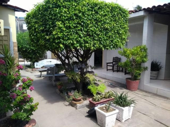 Imagem Apartamento com 10 Quartos à Venda, 360 m² em Enseada Dos Corais - Cabo De Santo Agostinho