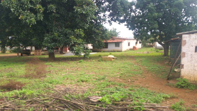 Imagem Chácara à Venda, 6.000 m² em Zona Rural - Brasília Imagem Chácara à Venda, 6.000 m² em Zona Rural - Brasília