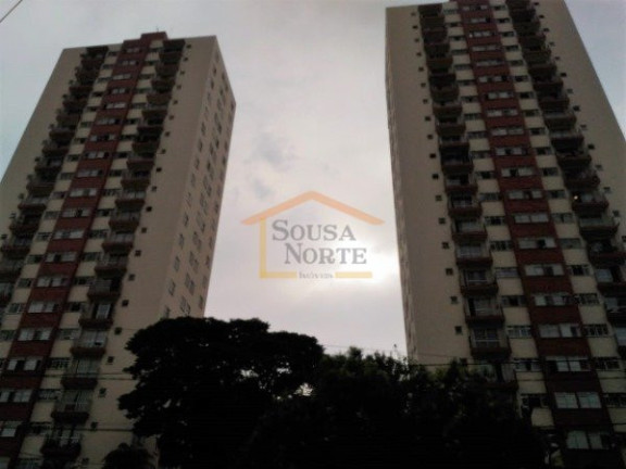 Imagem Apartamento com 2 Quartos à Venda, 59 m² em Vila Amélia - São Paulo Imagem Apartamento com 2 Quartos à Venda, 59 m² em Vila Amélia - São Paulo