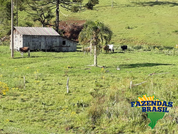 Imagem Imóvel com 1 Quarto à Venda, 100 m² em área Rural De Lages - Ponte Alta Imagem Imóvel com 1 Quarto à Venda, 100 m² em área Rural De Lages - Ponte Alta
