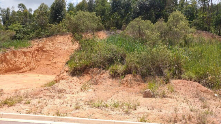 Imagem Terreno à Venda, 250 m² em Jardim Das Angélicas - Itupeva Imagem Terreno à Venda, 250 m² em Jardim Das Angélicas - Itupeva