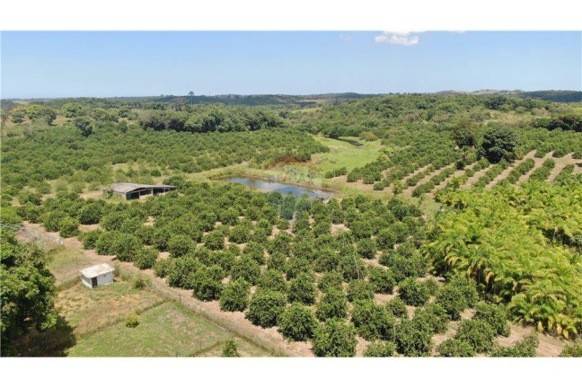 Imagem Imóvel à Venda, 200.000 m² em Bacaxa - Saquarema Imagem Imóvel à Venda, 200.000 m² em Bacaxa - Saquarema