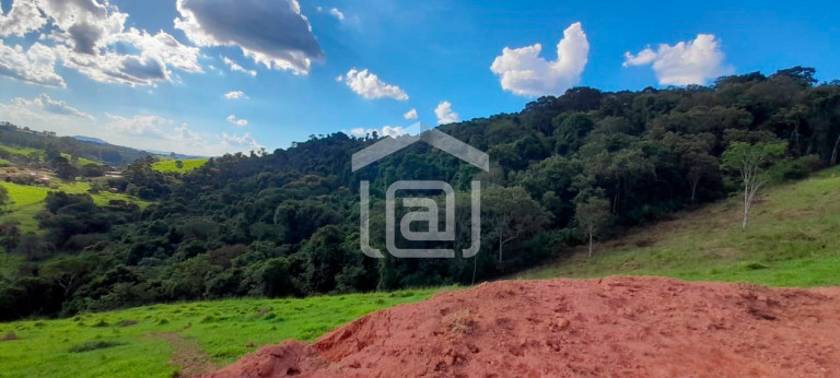 Imagem Imóvel com 1 Quarto à Venda, 44.000 m² em Roseira - Bandeira Do Sul