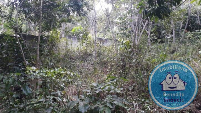 Imagem Terreno à Venda, 1 m² em Trancoso - Porto Seguro Imagem Terreno à Venda, 1 m² em Trancoso - Porto Seguro