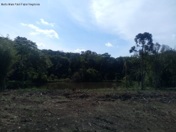 Imagem Terreno à Venda, 4 m² em Pinhal Alto - Nova Petrópolis Imagem Terreno à Venda, 4 m² em Pinhal Alto - Nova Petrópolis