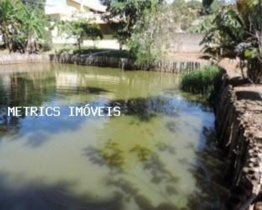 Imagem Imóvel com 4 Quartos à Venda, 3.500 m² em Abadia - Louveira