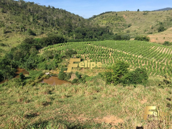 Imagem Imóvel com 1 Quarto à Venda, 55 m² em área Rural De Colatina - Colatina