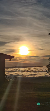 Imagem Imóvel com 3 Quartos à Venda, 28.000 m² em Zona Rural - Bom Retiro