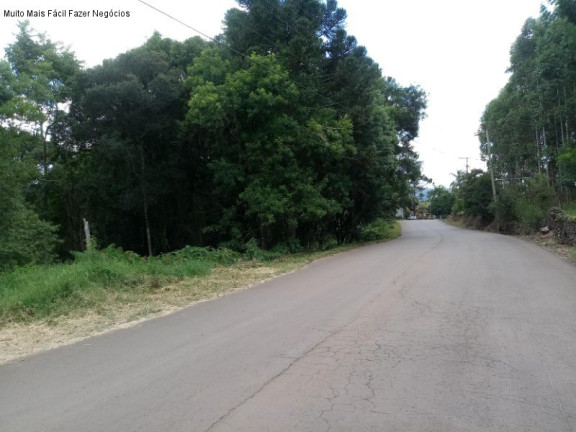 Imagem Terreno à Venda, 1.092 m² em Linha Brasil - Nova Petrópolis Imagem Terreno à Venda, 1.092 m² em Linha Brasil - Nova Petrópolis