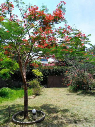 Imagem Terreno à Venda, 360 m² em Geribá - Búzios Imagem Terreno à Venda, 360 m² em Geribá - Búzios