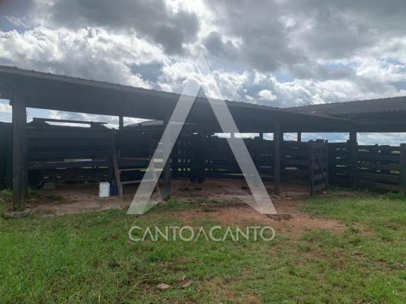 Imagem Imóvel à Venda, 150 m² em Zona Rural - Nova Monte Verde Imagem Imóvel à Venda, 150 m² em Zona Rural - Nova Monte Verde
