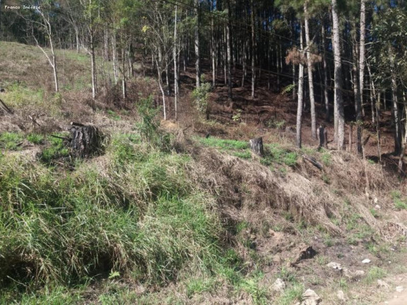 Imagem Terreno à Venda, 6.765 m² em Ouro Fino Paulista - Ribeirão Pires Imagem Terreno à Venda, 6.765 m² em Ouro Fino Paulista - Ribeirão Pires
